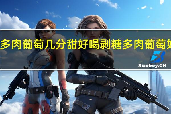 多肉葡萄几分甜好喝 剥糖多肉葡萄好好喝