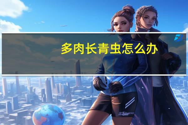 多肉长青虫怎么办