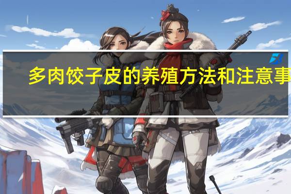 多肉饺子皮的养殖方法和注意事项