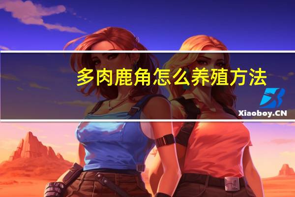 多肉鹿角怎么养殖方法
