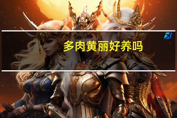 多肉黄丽好养吗