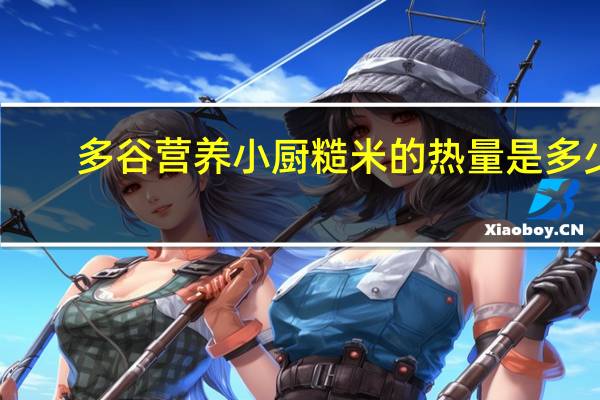 多谷营养小厨 糙米的热量是多少