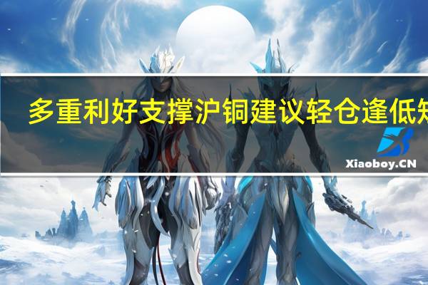 多重利好支撑沪铜建议轻仓逢低短多