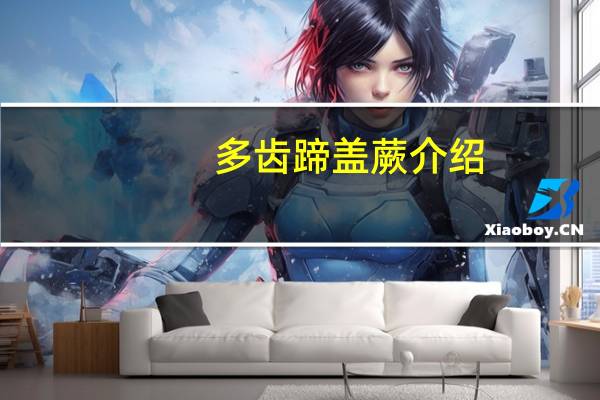 多齿蹄盖蕨介绍