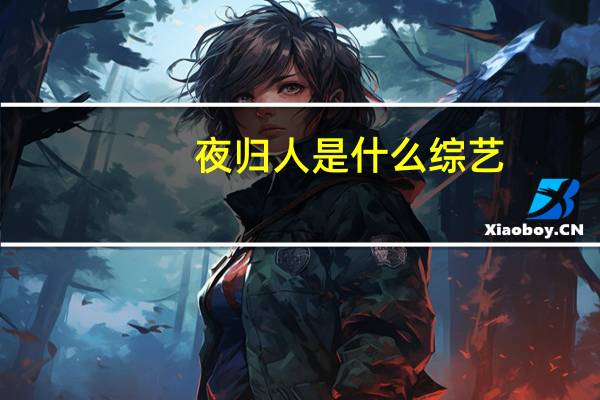 夜归人是什么综艺（夜归人是什么意思）