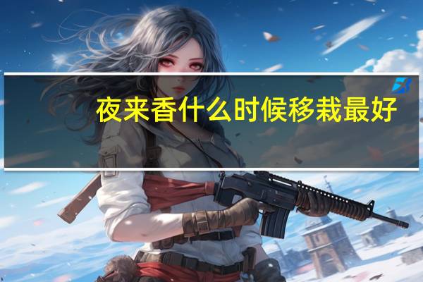 夜来香什么时候移栽最好