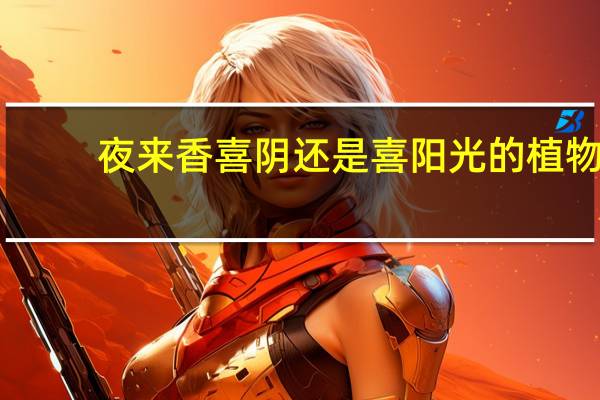 夜来香喜阴还是喜阳光的植物