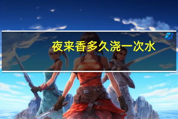 夜来香多久浇一次水