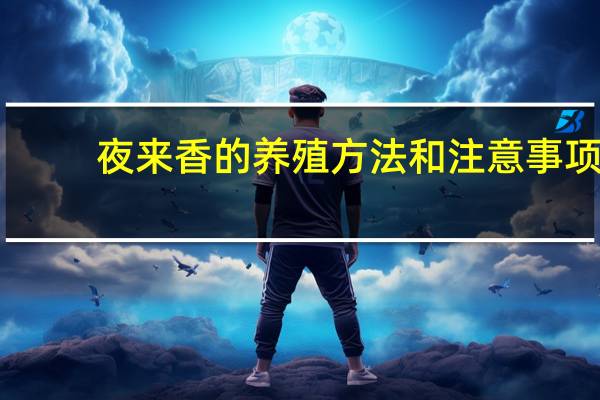 夜来香的养殖方法和注意事项：喜光但要避免烈日暴晒