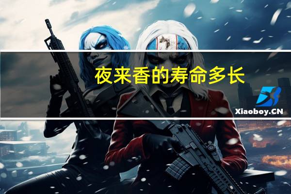 夜来香的寿命多长