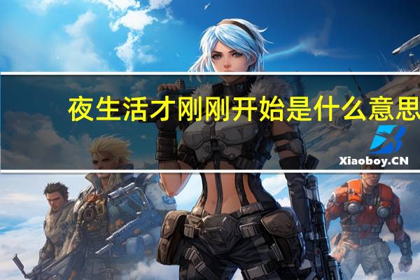 夜生活才刚刚开始是什么意思