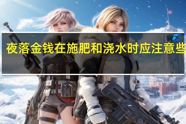 夜落金钱在施肥和浇水时应注意些什么