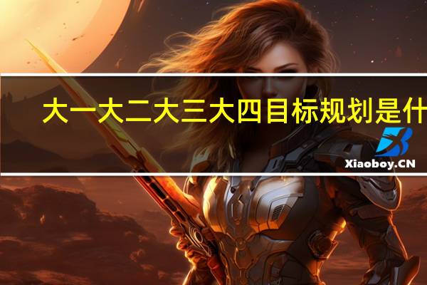 大一大二大三大四目标规划是什么