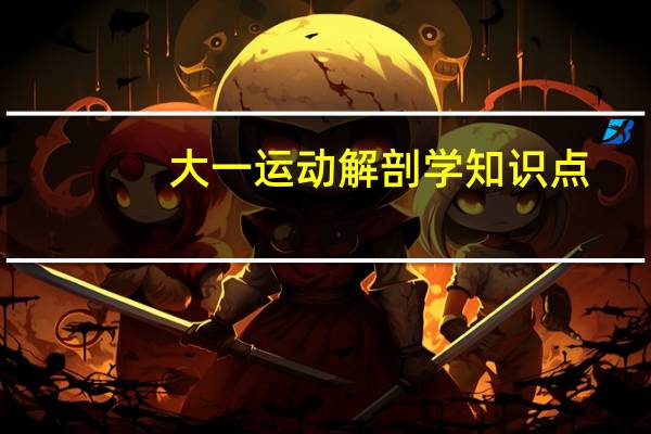 大一运动解剖学知识点
