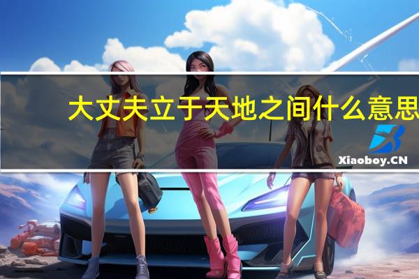 大丈夫立于天地之间什么意思