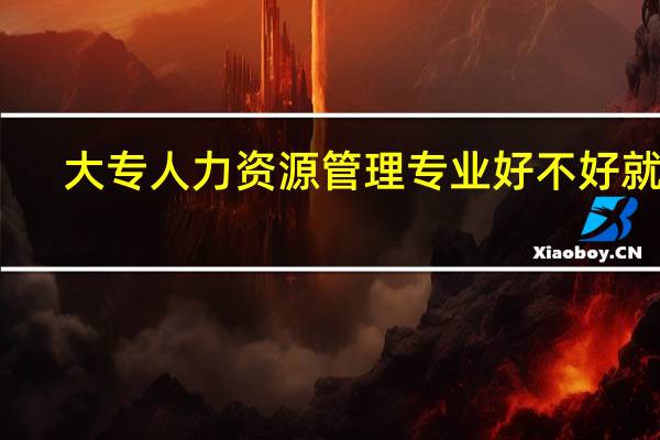 大专人力资源管理专业好不好就业