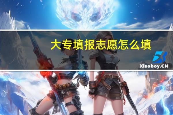 大专填报志愿怎么填