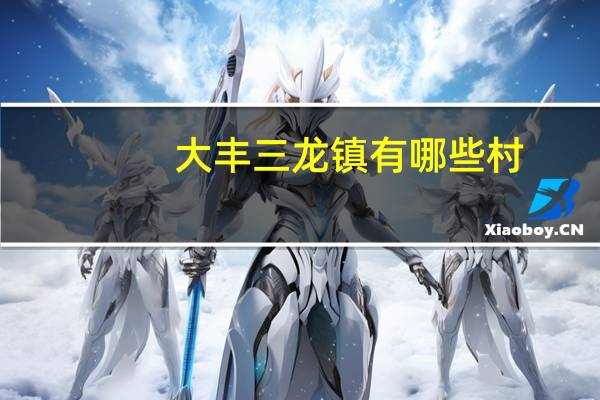 大丰三龙镇有哪些村（大丰市三龙镇第三小学简介）
