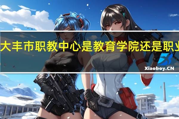 大丰市职教中心是教育学院还是职业学院