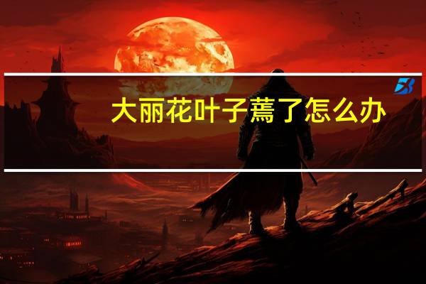 大丽花叶子蔫了怎么办