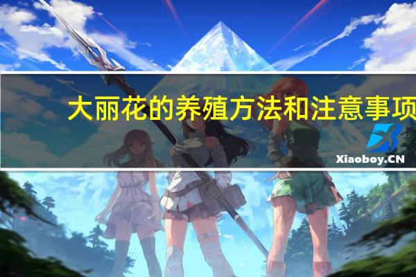 大丽花的养殖方法和注意事项