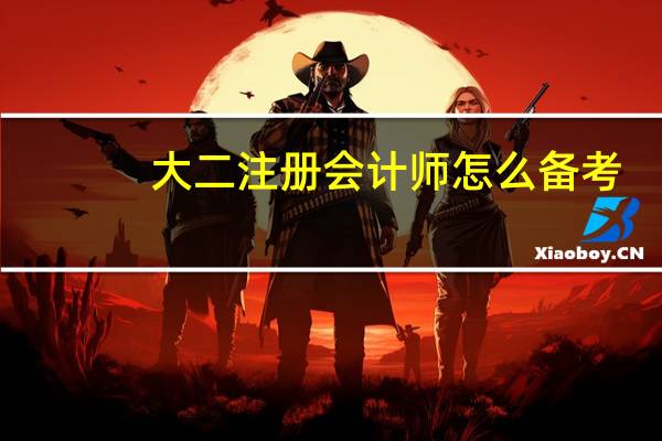 大二注册会计师怎么备考