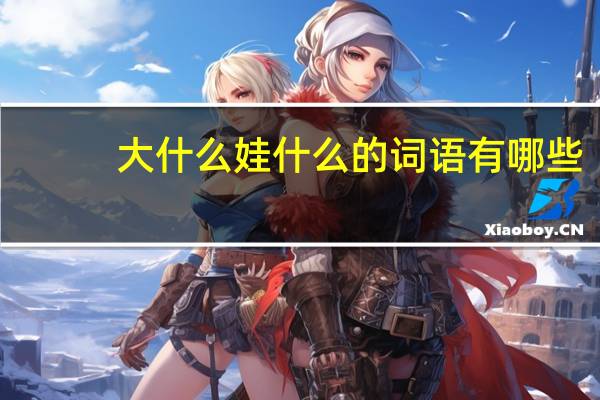 大什么娃什么的词语有哪些?