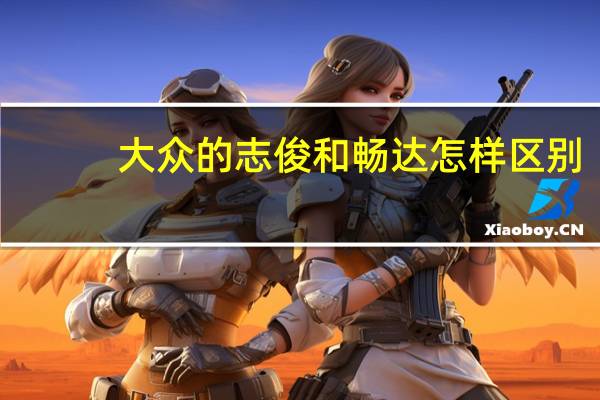 大众的志俊和畅达怎样区别