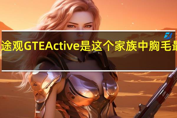 大众途观GTE Active是这个家族中胸毛最多的成员