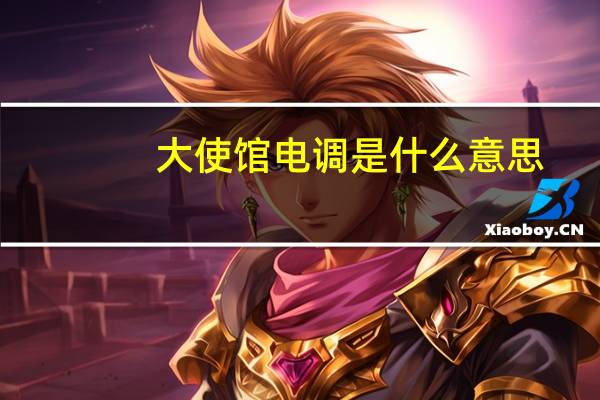 大使馆电调是什么意思