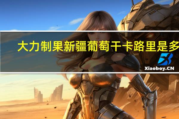 大力制果 新疆葡萄干卡路里是多少