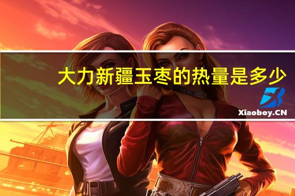 大力 新疆玉枣的热量是多少