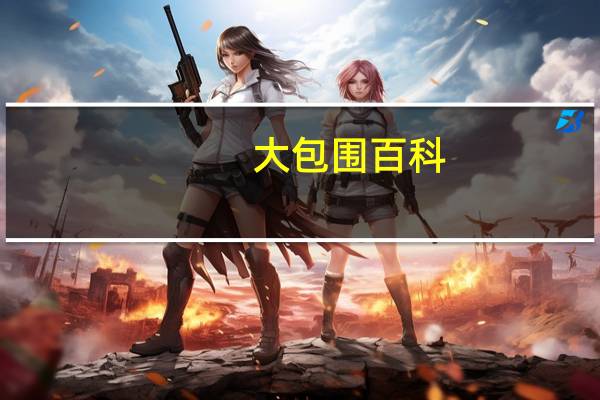 大包围百科（大包围小包围）