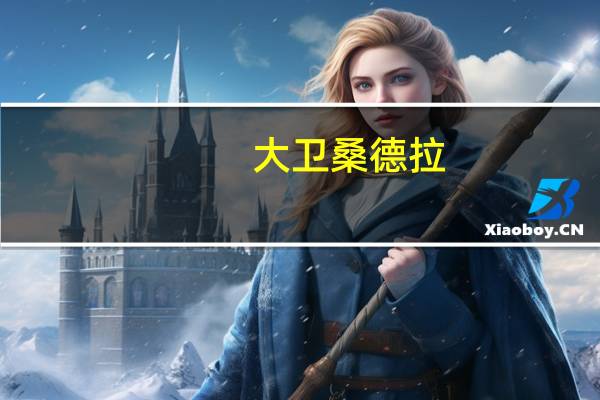 大卫 桑德拉（大卫比利亚桑切斯）