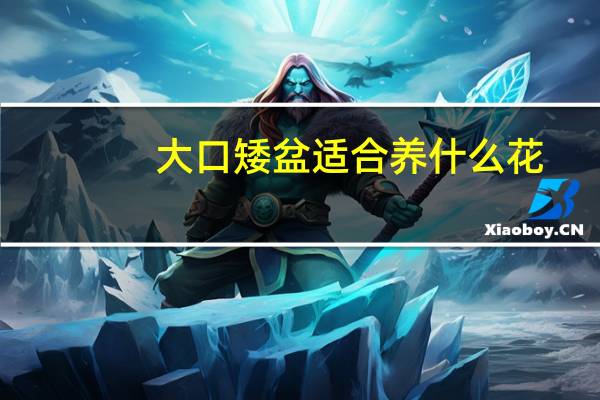 大口矮盆适合养什么花