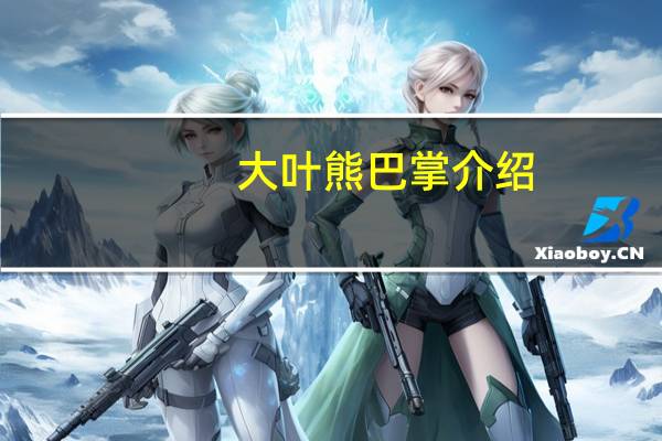 大叶熊巴掌介绍
