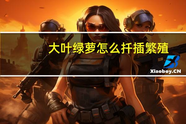 大叶绿萝怎么扦插繁殖