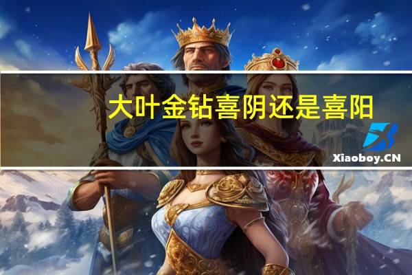 大叶金钻喜阴还是喜阳