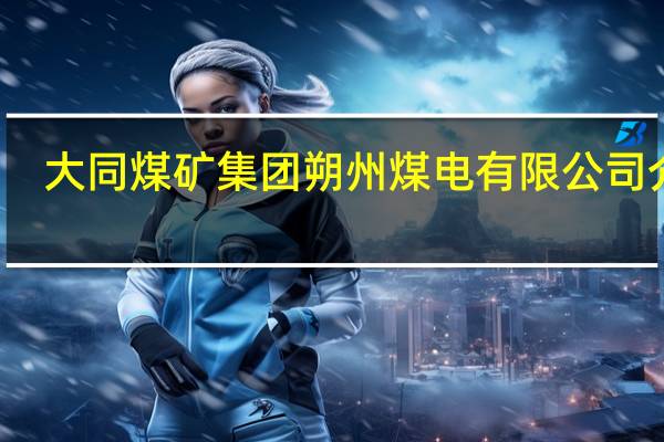 大同煤矿集团朔州煤电有限公司介绍
