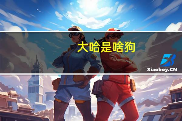大哈是啥狗，二哈又是啥狗，三哈又是啥狗