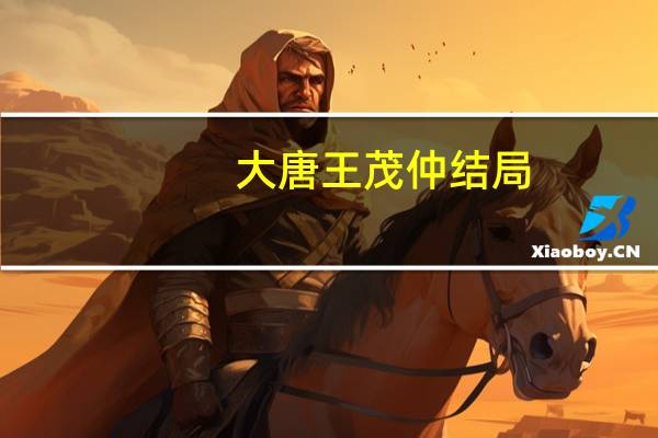 大唐王茂仲结局