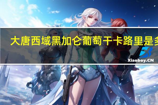 大唐西域 黑加仑葡萄干卡路里是多少