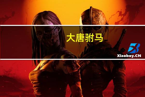 大唐 驸马（大唐女驸马）
