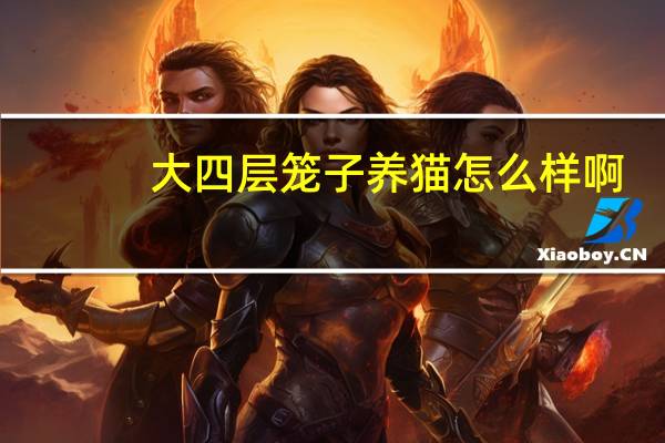 大四层笼子养猫怎么样啊
