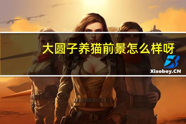 大圆子养猫前景怎么样呀
