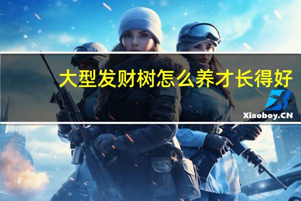 大型发财树怎么养才长得好