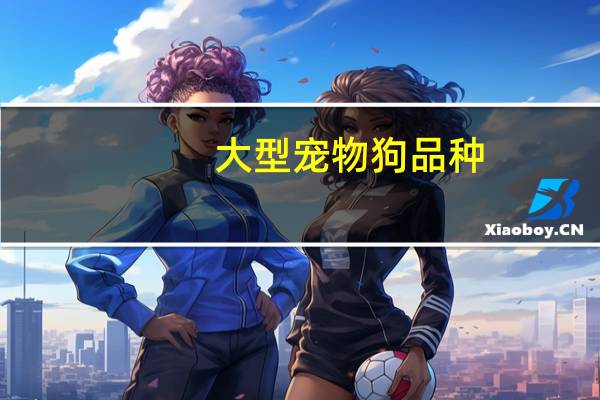 大型宠物狗品种