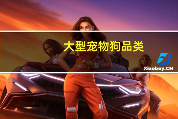 大型宠物狗品类