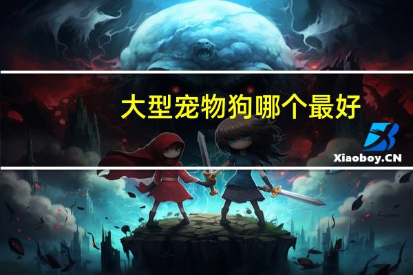 大型宠物狗哪个最好