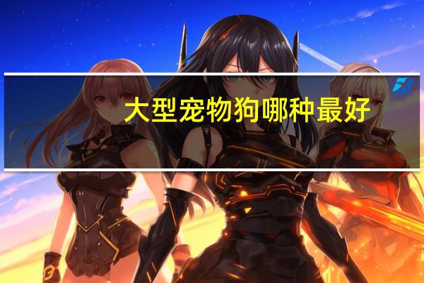 大型宠物狗哪种最好